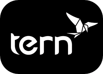 Tern logo featuring a stylized bird in flight, representing innovation and sustainability in transportation.
