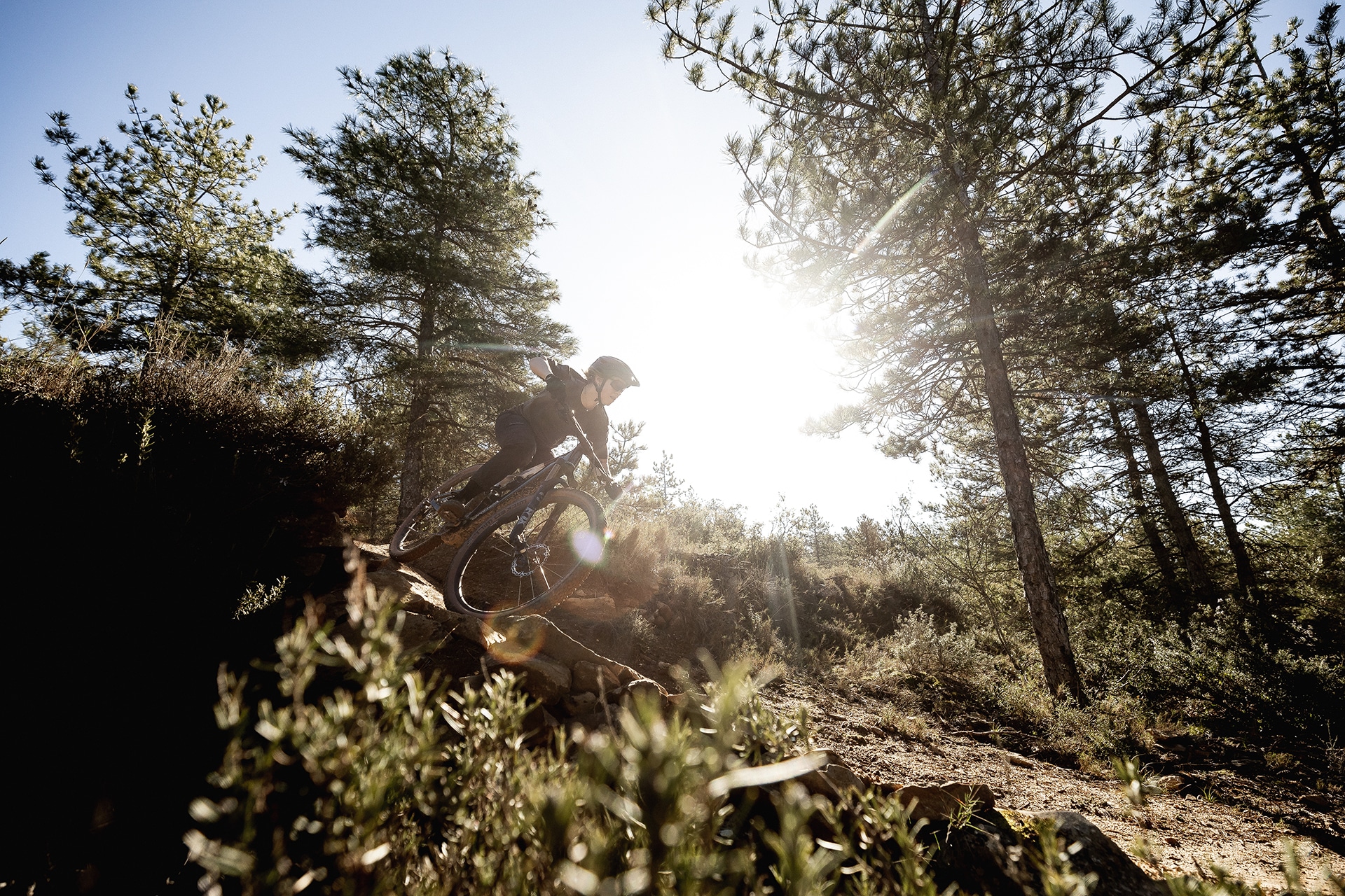 A person rides a mountain bike through a lush forest, showcasing the adventure of biking in nature.