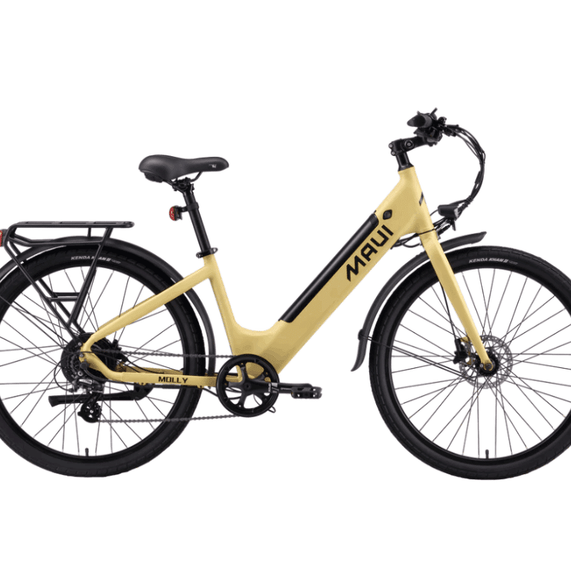 MAUI Molly Ebike