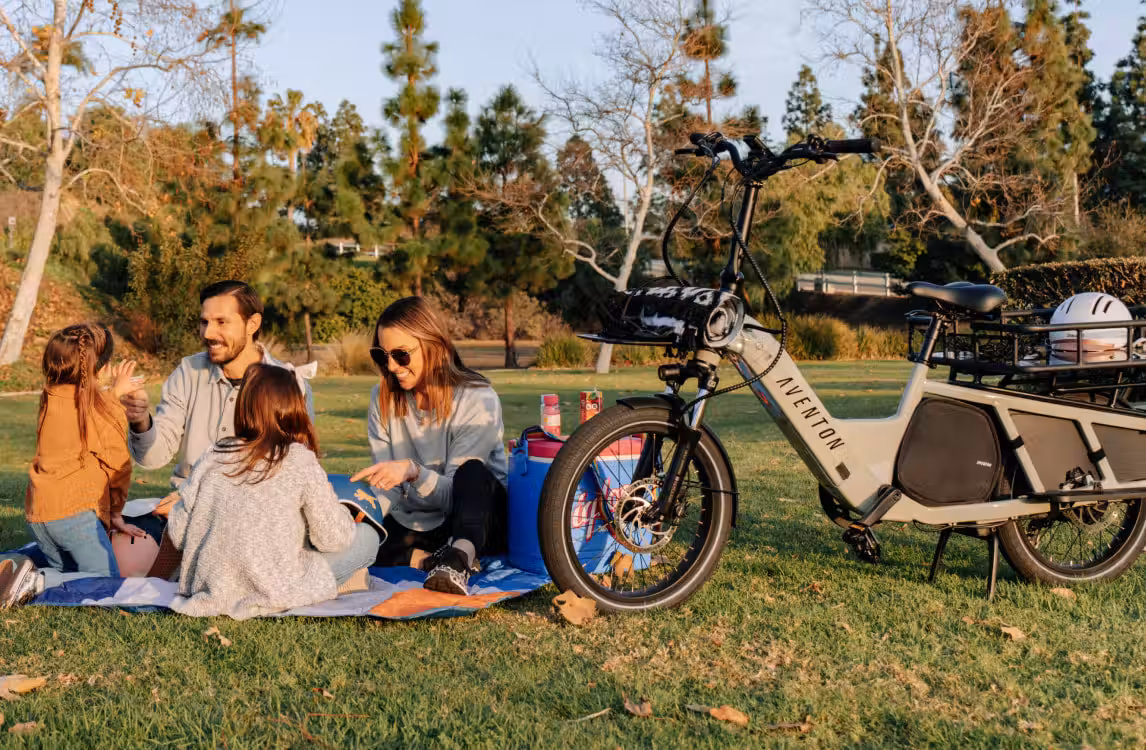 Aventon Abound Cargo Sage - Image 2